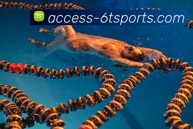 6T体育平台生态图